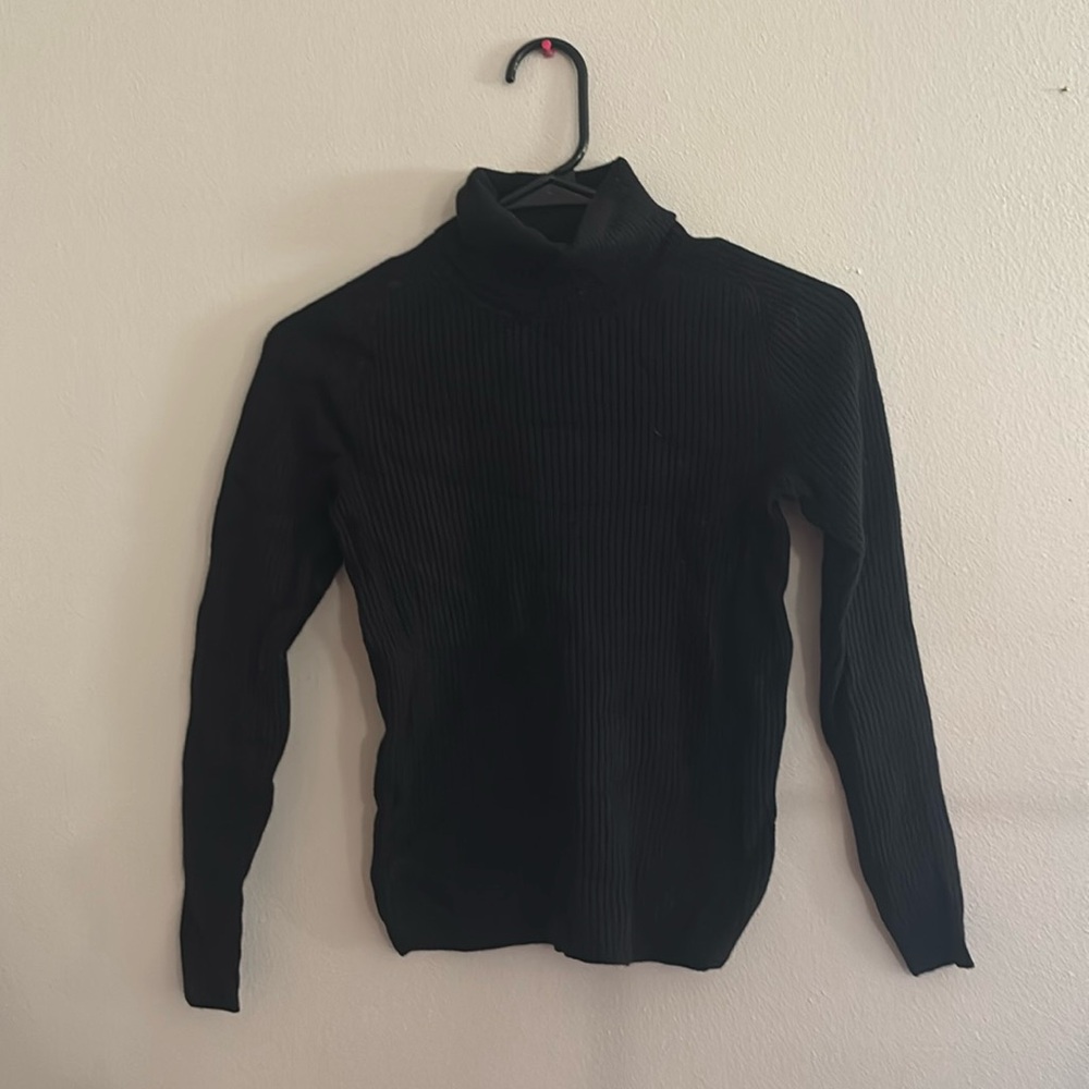 Everlane Black Ribbed Turtleneck Long Sleeve Sweater